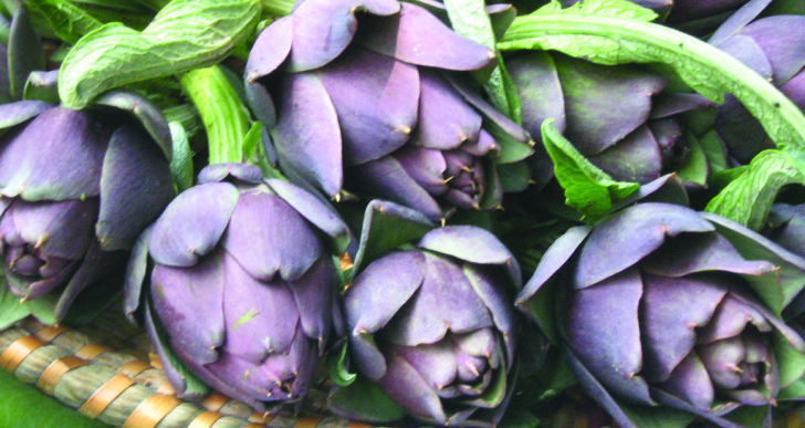 Carciofo violetto di Chioggia