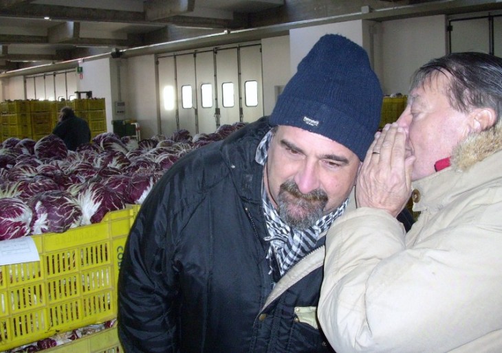 Conferimento prodotti ortofrutticoli e vendite all’ asta