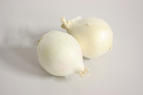 Cipolla bianca di Chioggia