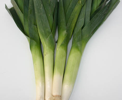 Il porro di Conche (el Poro de Conche)
