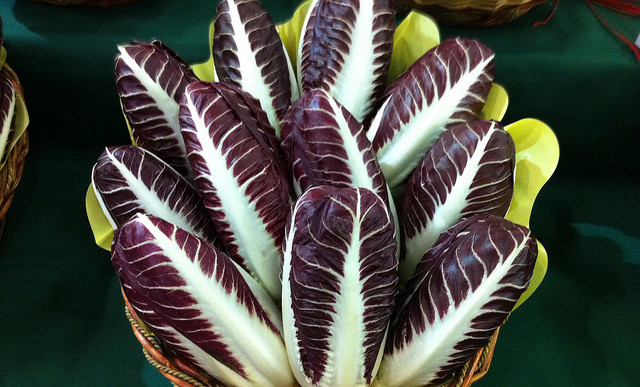 Radicchio rosso di Treviso precoce