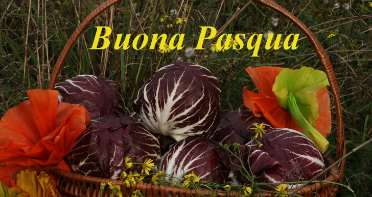 AUGURI E ORARI MERCATO