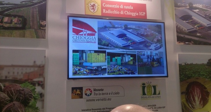 ANCHE IL MERCATO DI BRONDOLO A BERLINO AL FRUIT LOGISTIC 2016